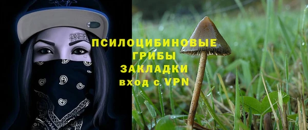 крисы Балахна