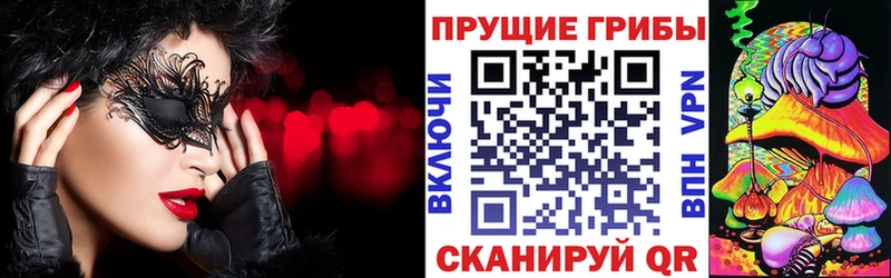 Псилоцибиновые грибы мицелий  нарко площадка официальный сайт  Губкинский 
